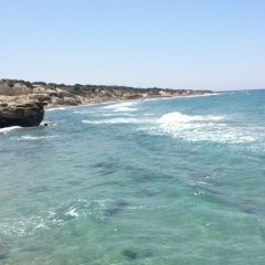 Денис Гриб, Санкт-Петербург