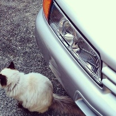 Александр Логинов, 27.02