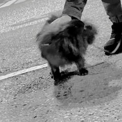 Роман Надыров, 18.09, Санкт-Петербург