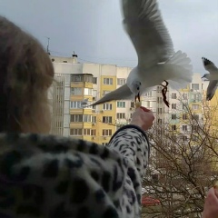 Ольга Губина, 02.11, Керчь