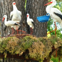 Денис Кириллов, 04.12.1906, Курган