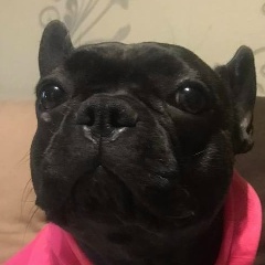 Vova Stepanov, 14.07, Минск