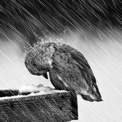 Ирина Вячеславовна, Москва