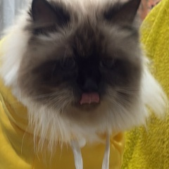 Елена Казакова, 22.01.1985, Егорьевск