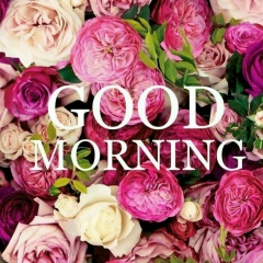 Алиса Звягинцева, 13.05.1988, Москва