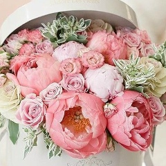 Виктория Лисичная, 02.05, Кривой Рог