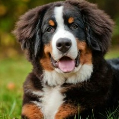 Phil Shahno, 14.10, Алматы