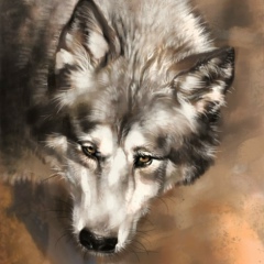 Дарья Таланова, 01.09, Запорожье