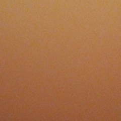 Ник Ник, Калининград