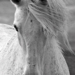 Турсунай Тилекова, 03.02.1993, Бишкек