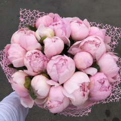 Гуля Мурсалимова, 08.02, Астана