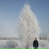 Олег Гурченко