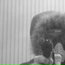 Иван Вьючнов, 26.03.1984, Москва