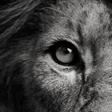 Владимир Полищук, 11.08.1990, Киев