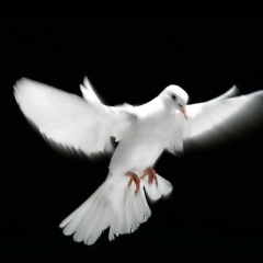 Кирилл Пономарев, 27.06.1989