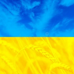 Гоги Федянин, 27.04, Тбилиси