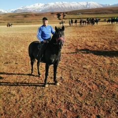 Samat Tazhibaev, Шымкент