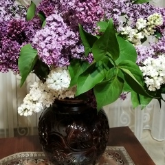 Татьяна Татьянина, 04.03, Ясиноватая