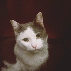 Сергей Гетта, 19.10.1991, Алматы