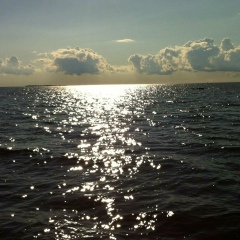 Алексей Пантелеев, 09.08, Санкт-Петербург