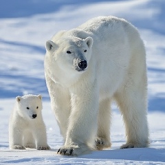 Алексей Шахов, 03.05.1999