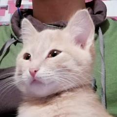 Алексей Семёнов, 15.08, Иркутск