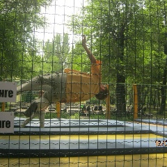 Илья Гаюнов, 21.07.2001, Алматы