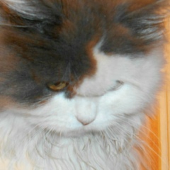 Тиана Смит, 23.10.1955, Самара