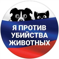 Владимир Шуйский, Санкт-Петербург