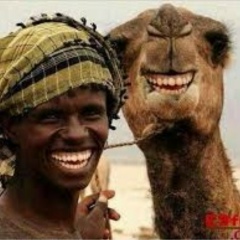 Mish Mish, 12.07.1993, Djougou