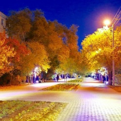 Сауле Уркашбаева, Кызылорда