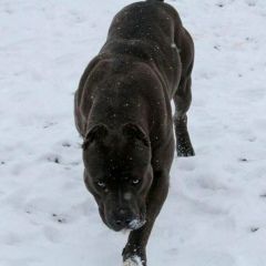 Алексей Молчун, 27.01