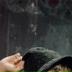 Katherine Moennig, 29.12, Philadelphia