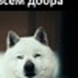 Диана Пасмурная, 18.07, Тольятти