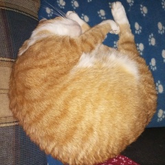 Виктория Уздина, 29.09, Санкт-Петербург