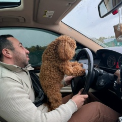 Эдуард Гукасян, 12.10.1988, Ногинск