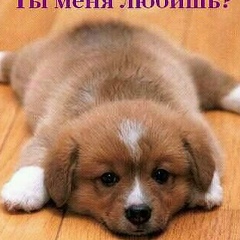 Залина Юсупова, Грозный