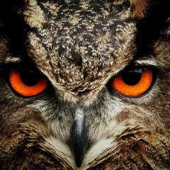 Elena Krivtsova, 14.10, Алматы