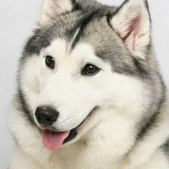 Виола Донич, 01.02, Одесса