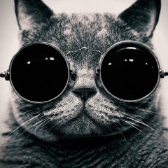 Сакен Ашимбеков, 14.10, Астана