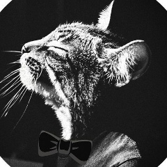 Серёжа Эмильен, 21.05, Москва