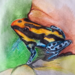 Анастасия Бринд, 19.06.1985, Москва