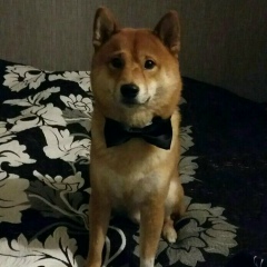 Natalia Kiu, 31.03, Nürnberg