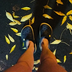 Лиза Свиридович, 01.11