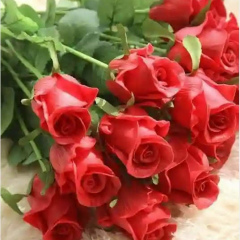 Нина Полежаева, 10.09.1945