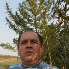 Вячеслав Перегонцев, 12.07, Краснодар