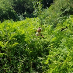 Анастасия Князева, 22.10.1989, Москва