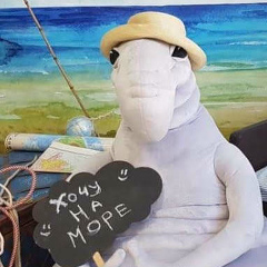 Равилькин Кадыров, Казань