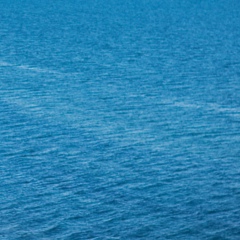 Анна Саркетова, 16.12.1986, Одесса