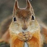 Евгений Осипов, 21.04.1930, Астрахань